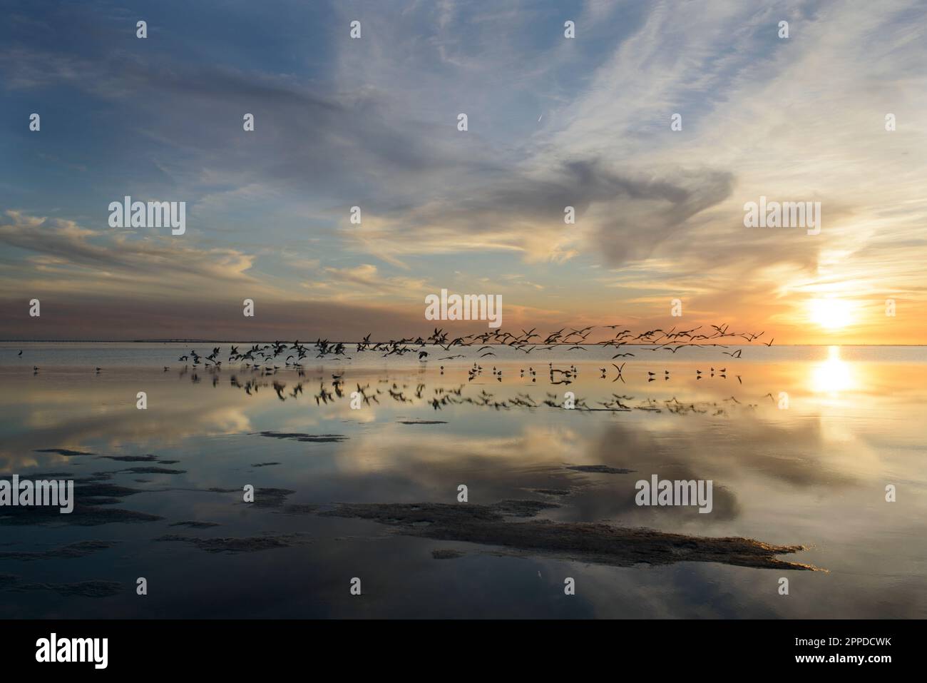 South Padre Island, Texas seascapes Stock Photo Alamy