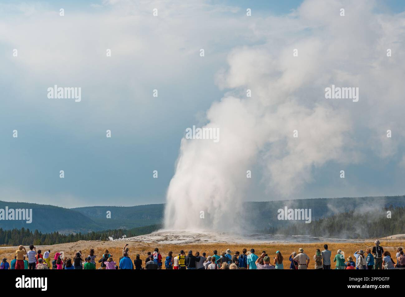 Erupting Old Faithful geyser hot spring with tourists, Yellowstone national park, USA. Stock Photo