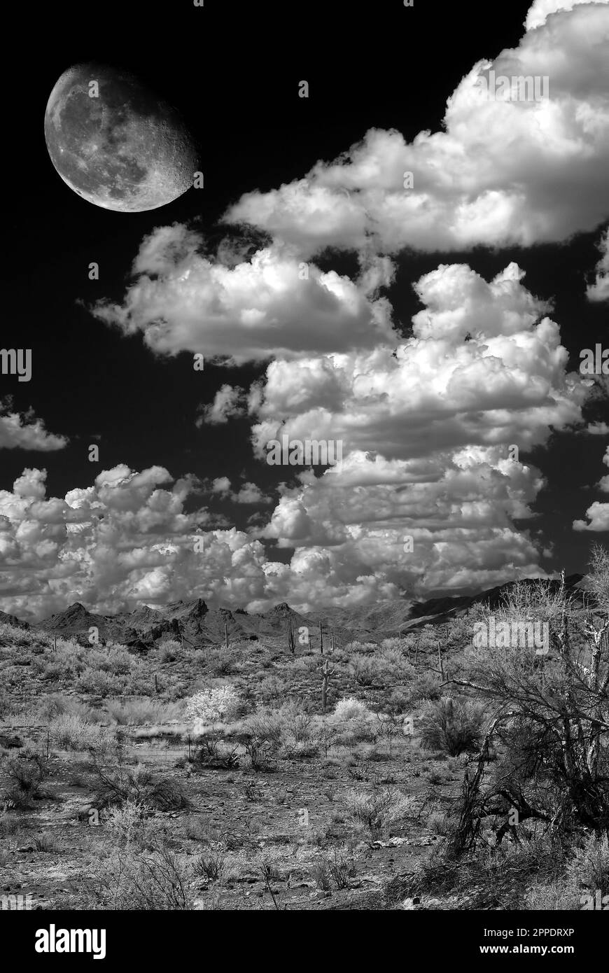 Moon and landscape in the Arizona desert Stock Photo - Alamy