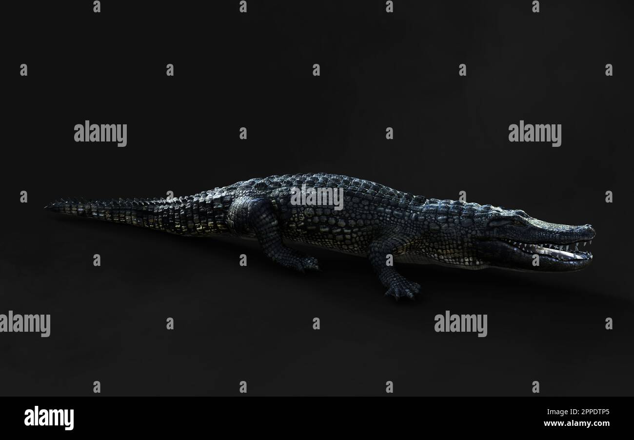 Photo De Presse Vintage Alligators à Sigean – 1974 – Tirage Argentique 24x18 Cm
