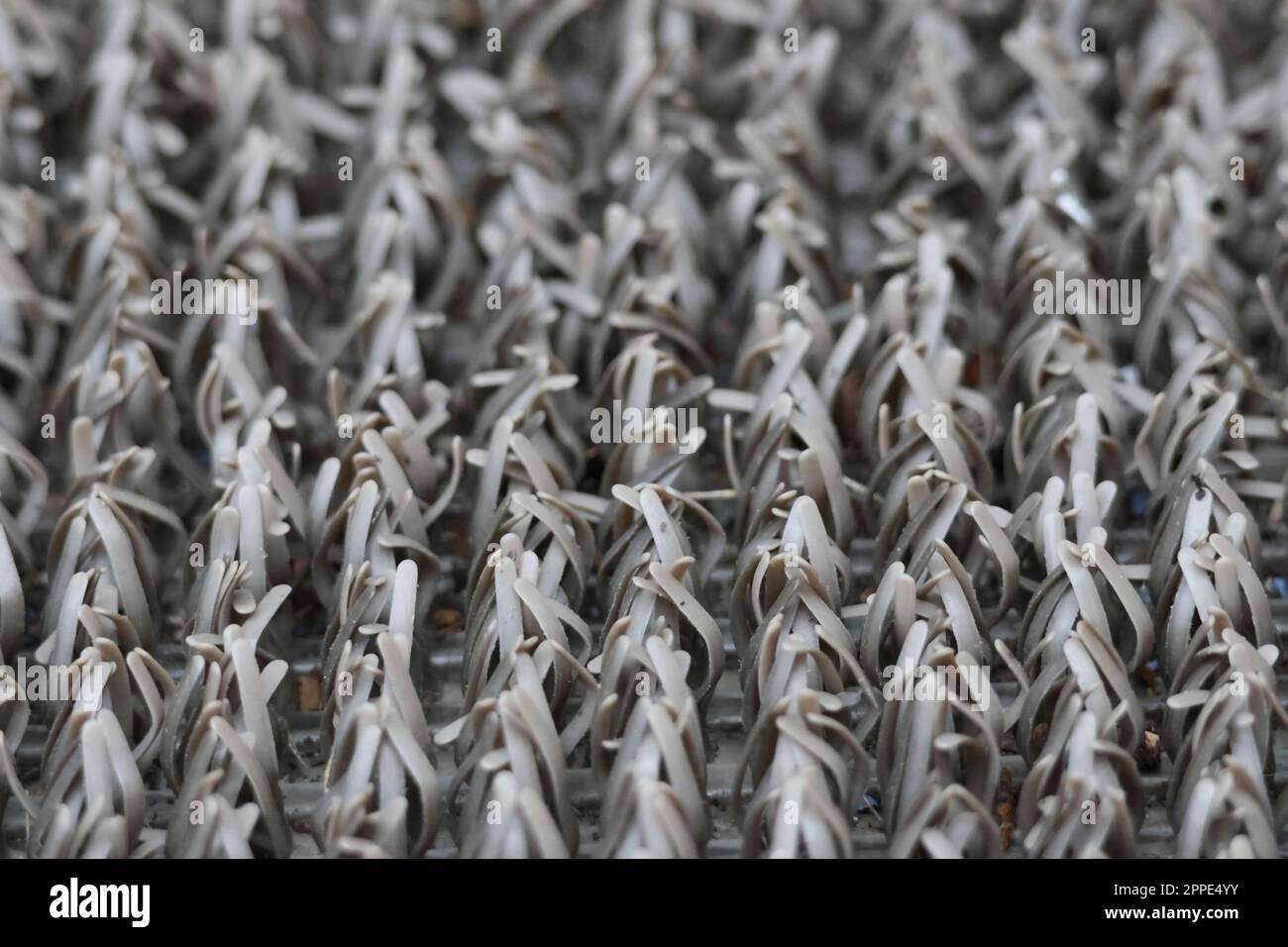 Outdoor carpet fibers closeup. Macro view of door mat carpet bristles. Stock Photo