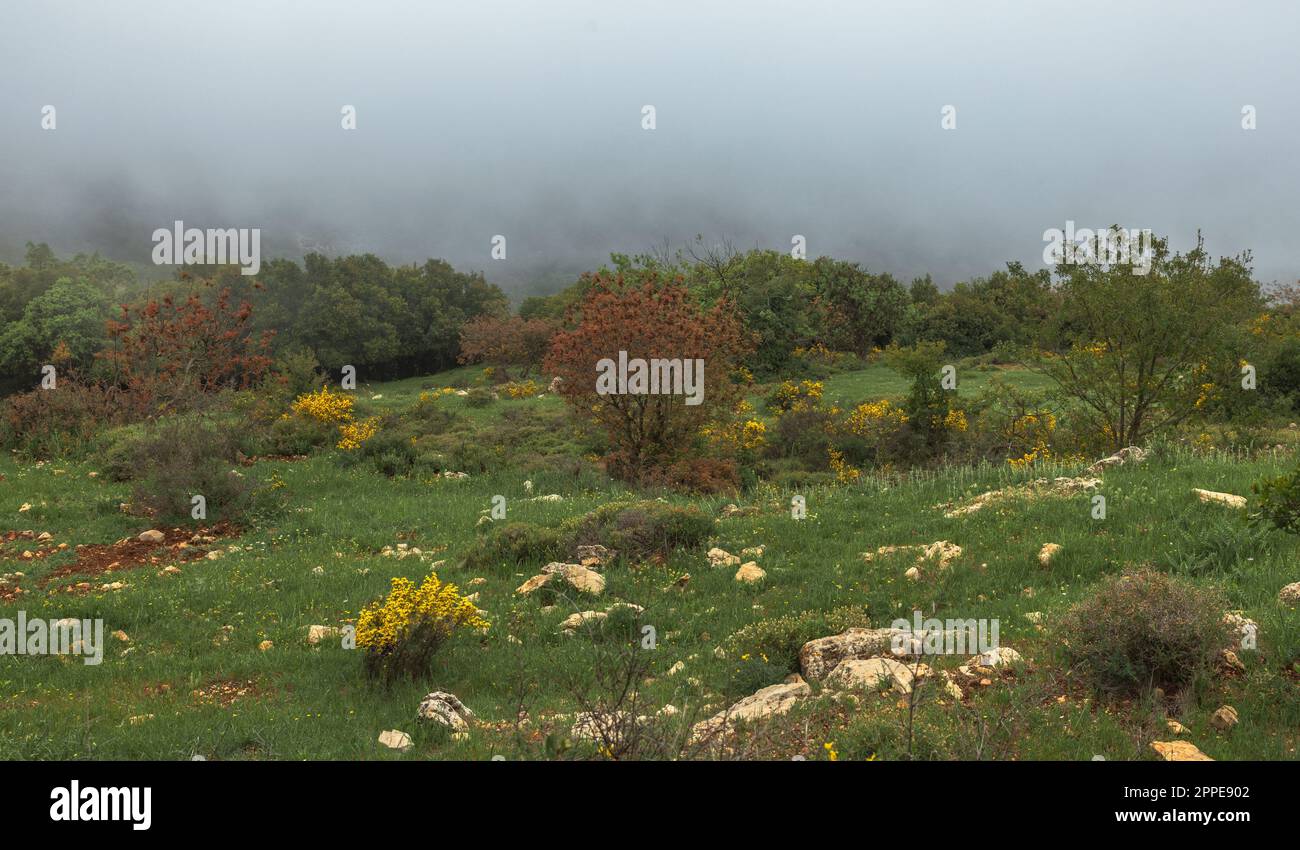 Beautiful landscape with fog on the top of Mount Meron in Israel Stock Photo