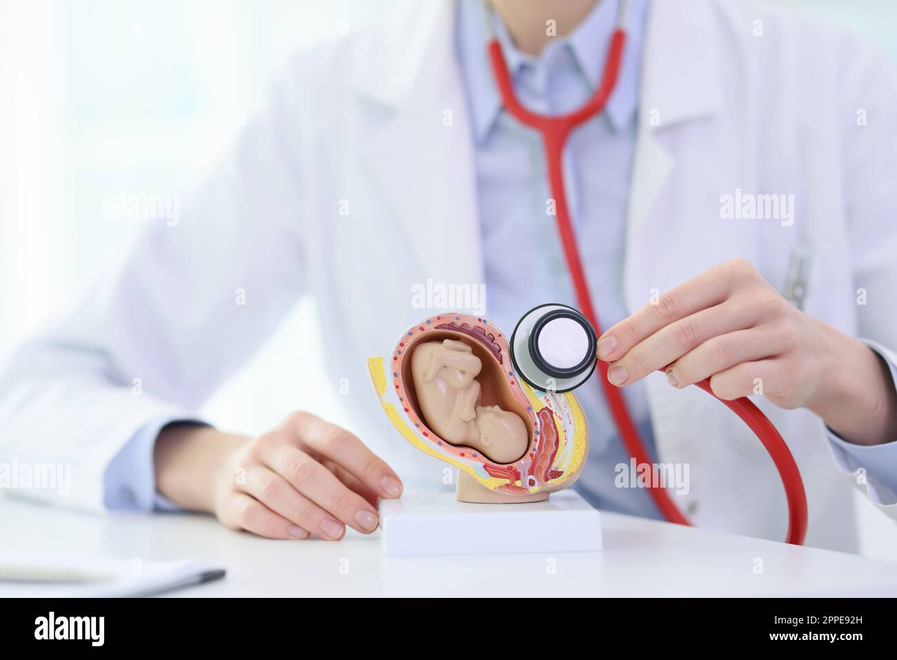 Doctor puts stethoscope to womb with fetus model at lesson Stock Photo ...