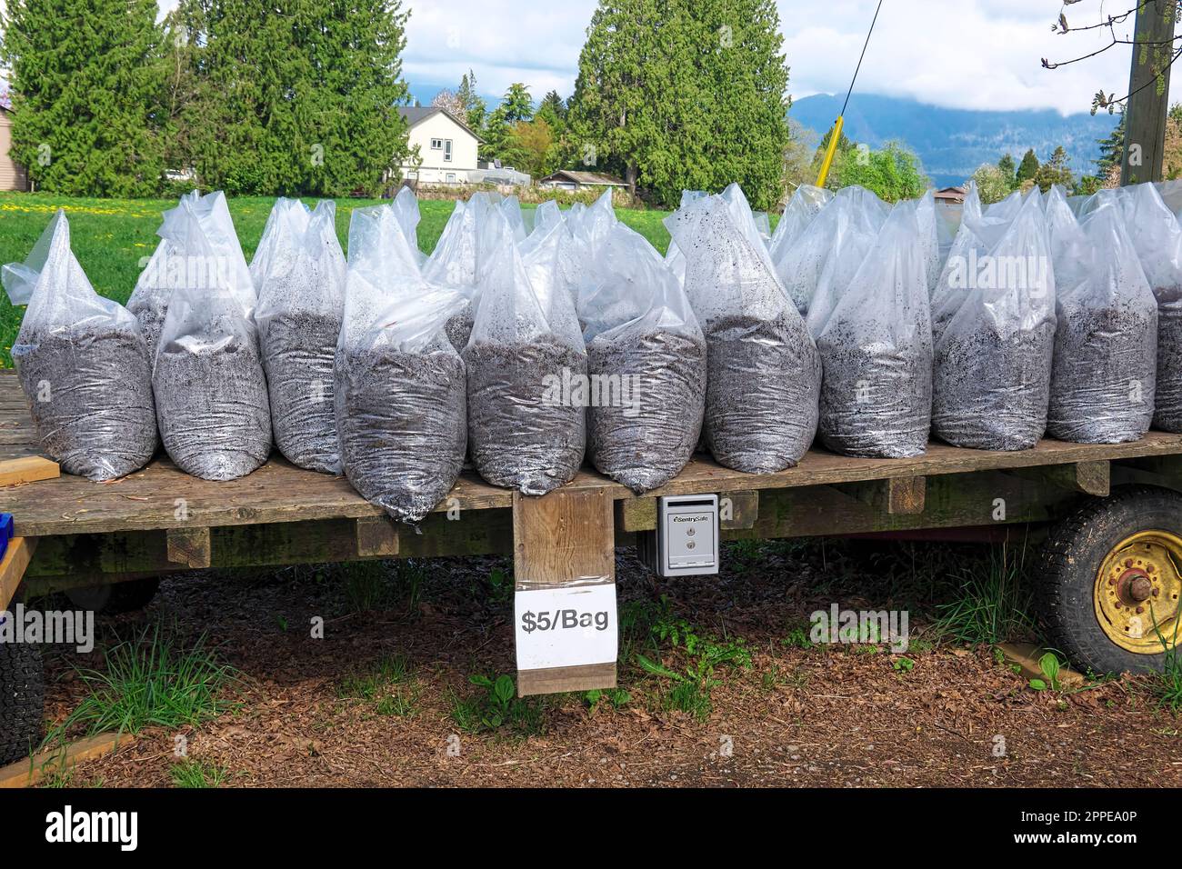 Composted steer manure bagged in plastic bags and for sale on a flatbed