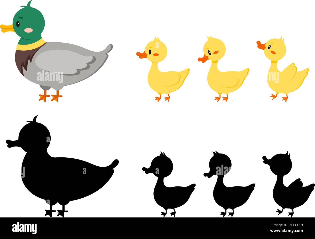 Duck bird with duckling and silhouette isolated on white background. Stock Vector