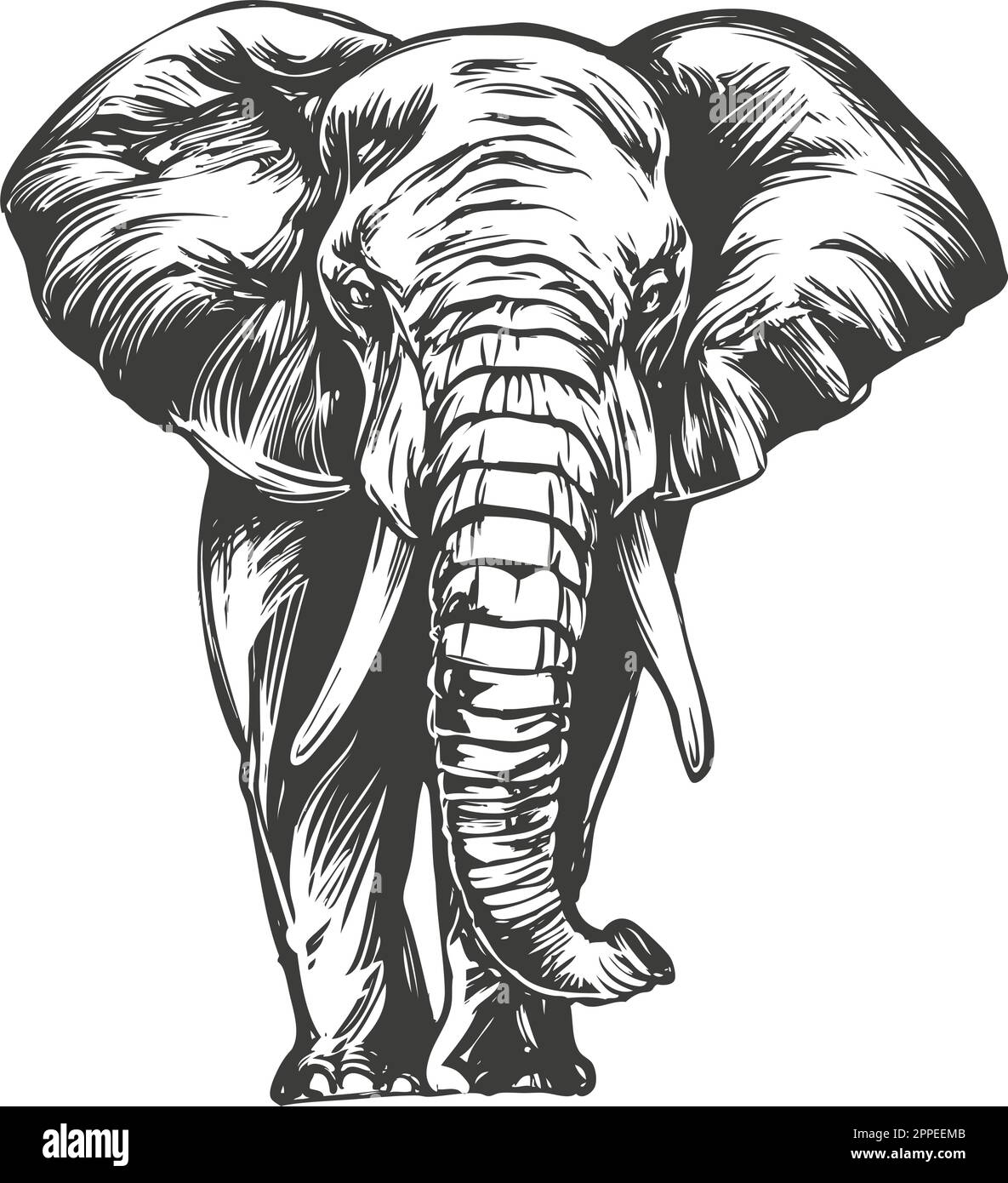 Elephant Drawing Images - Free Download on Freepik-saigonsouth.com.vn