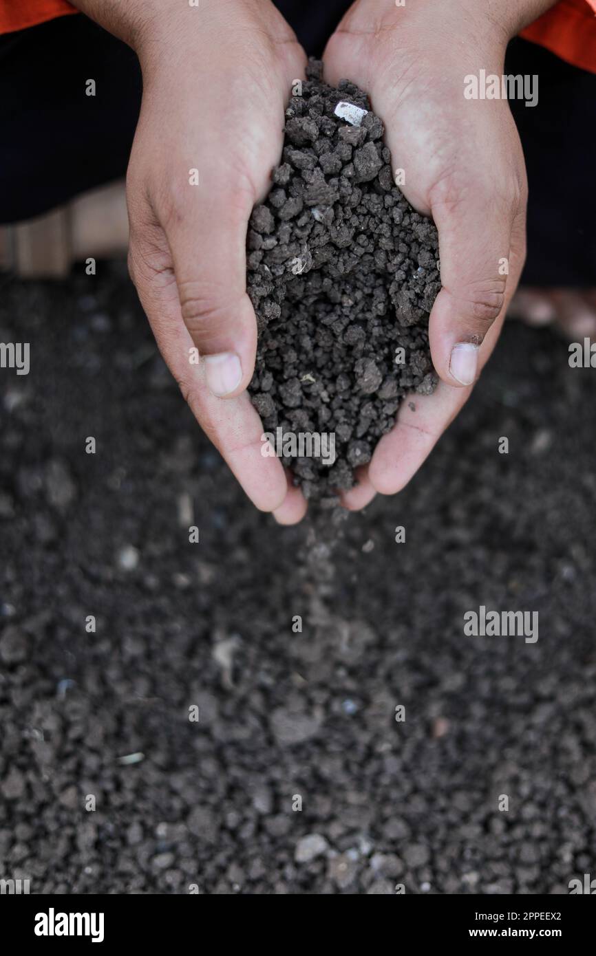 Indian farmer holding soil in hands, happy farming Stock Photo