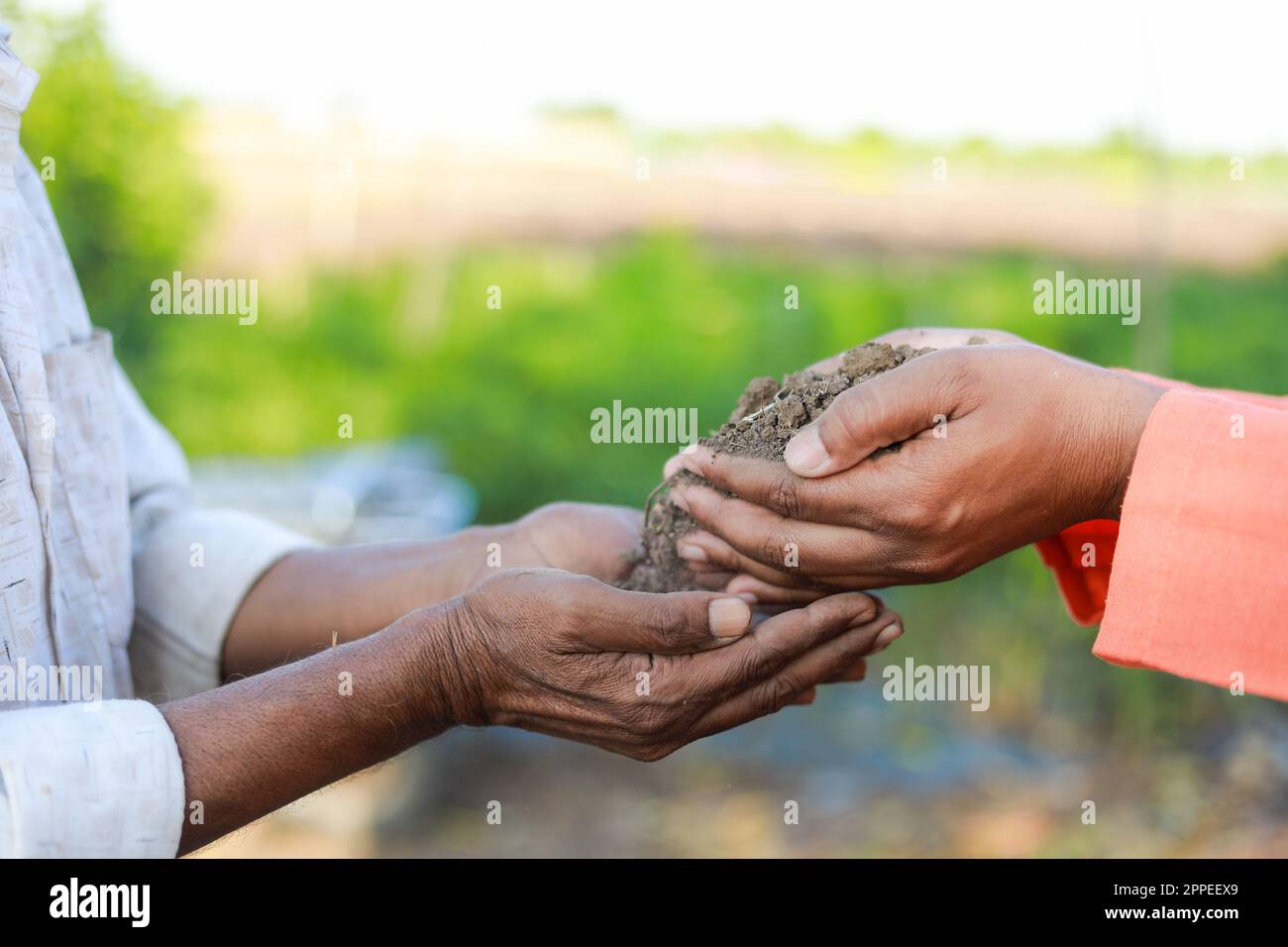 Indian farmer holding soil in hands, happy farming, Dropping soil in other hand Stock Photo