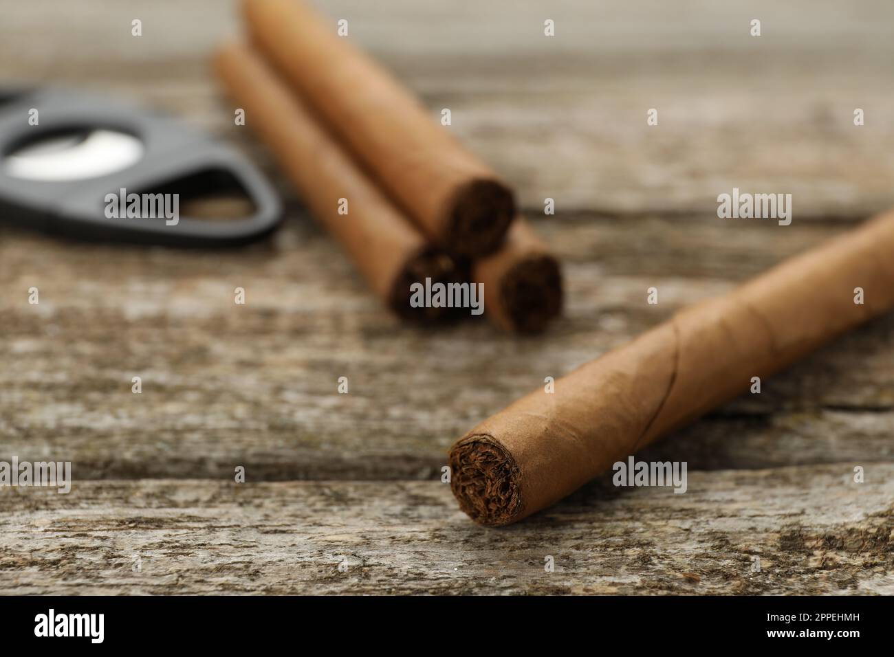 tobacco wrapped Cigar wrapped in tobacco leaf on wooden table, closeup Stock Photo
