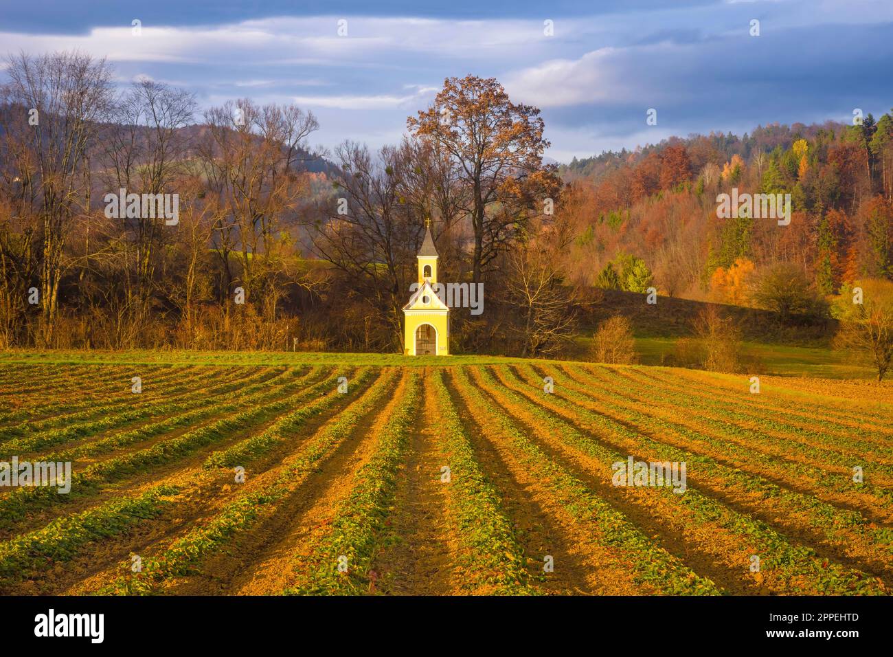 Agricultural fields and yellow little chapel in the charming town of Rein (famous for the beautiful Rein Abbey) near Graz, Steiermark, Austria Stock Photo