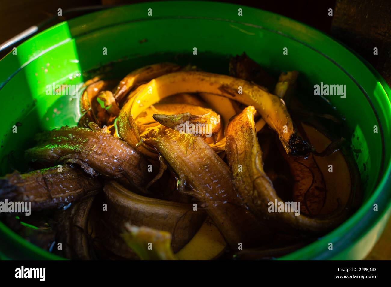 Banana peel soaked in water closeup. Banana peel tincture for