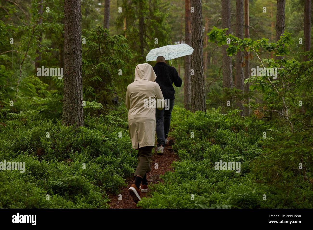 People walking through forest hi-res stock photography and images - Alamy