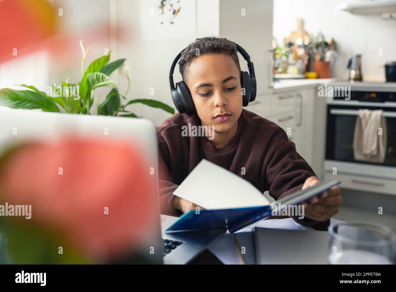 Boy doing homework at home Stock Photo