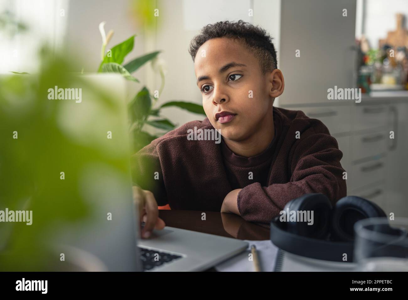 Boy at home using laptop Stock Photo