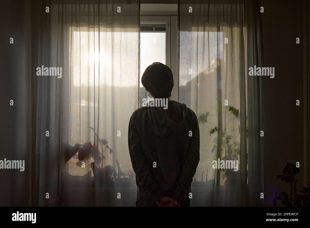 Silhouette of person standing in front of window Stock Photo