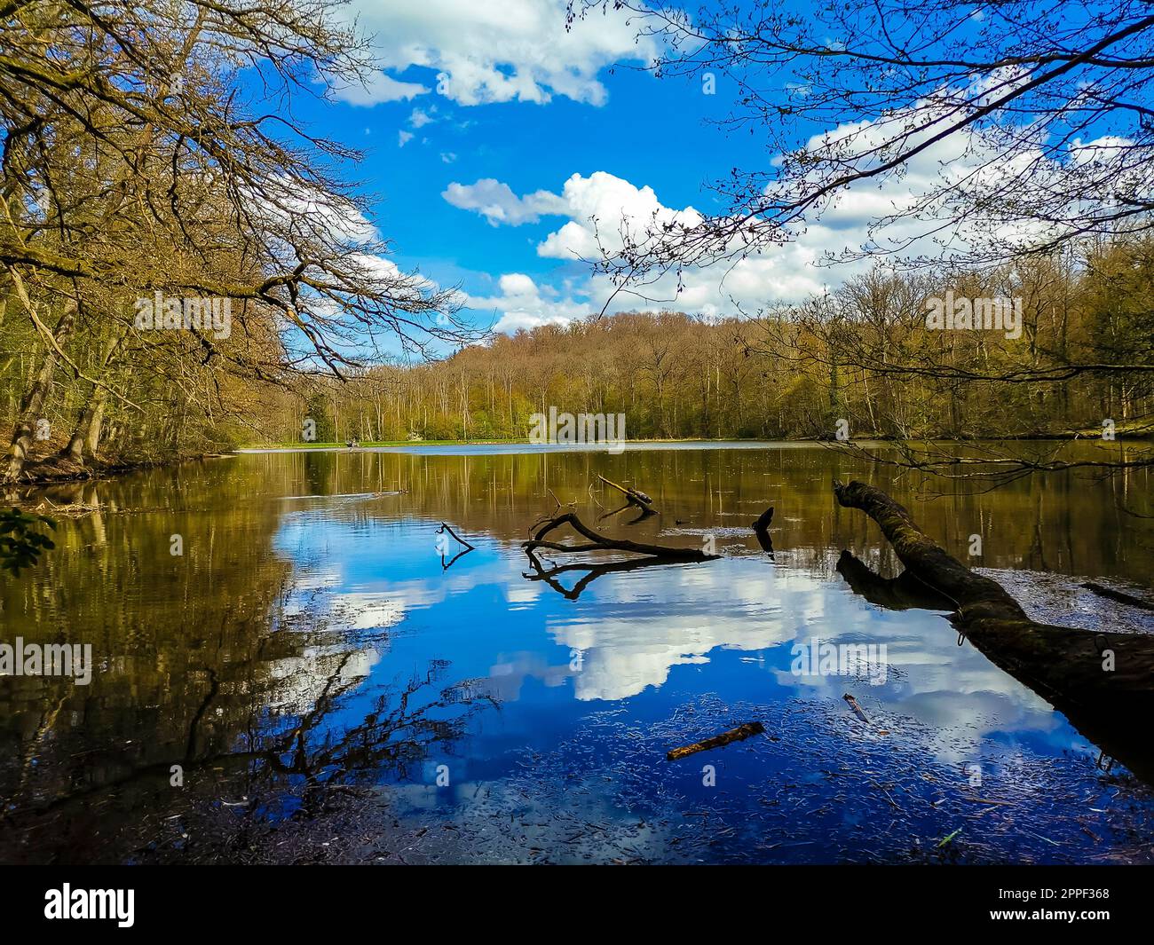 Germany, Stuttgart vaihingen city park katzenbachsee lake water ...