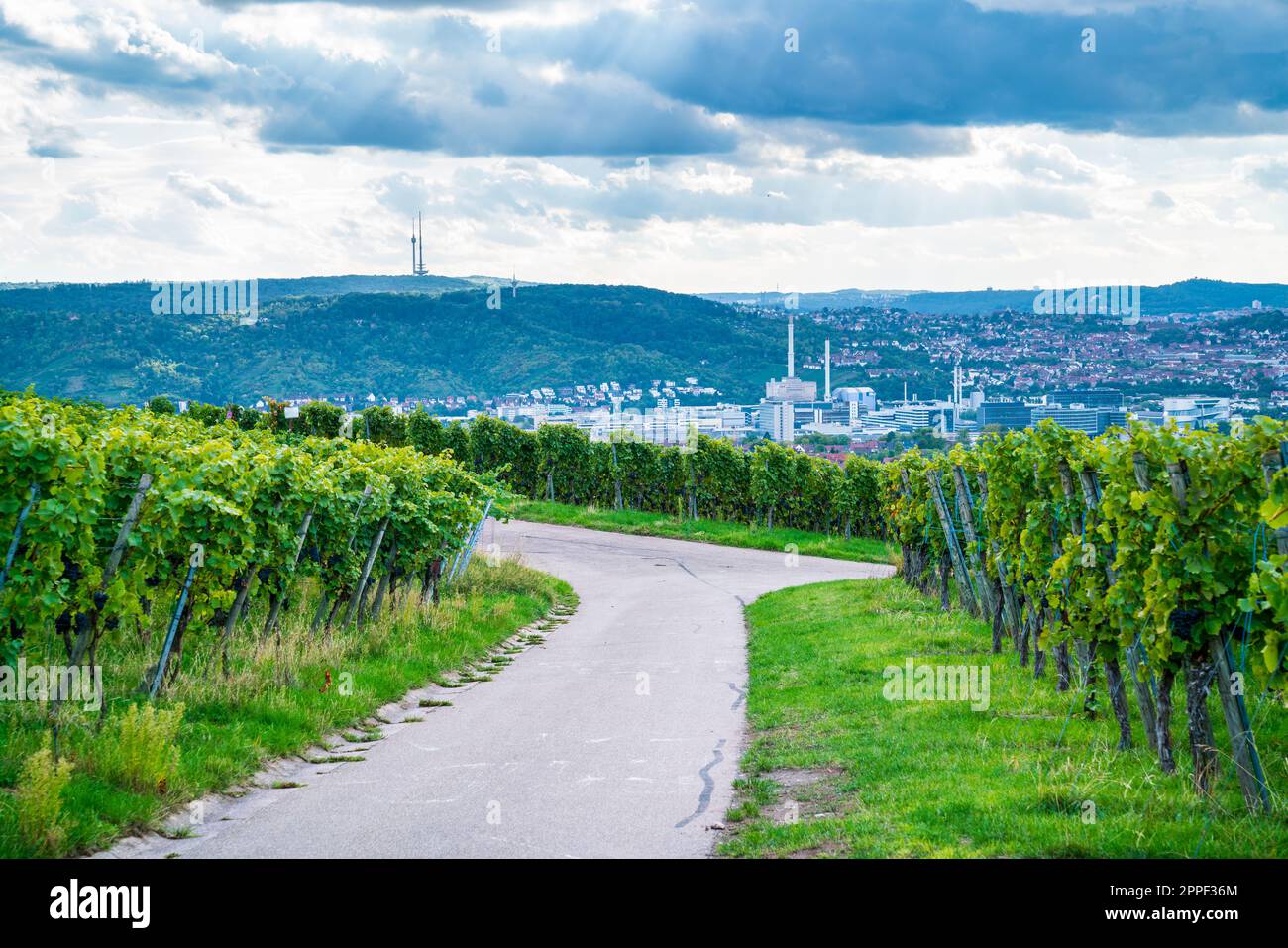 Germany, Stuttgart city arena industry houses skyline behind green ...