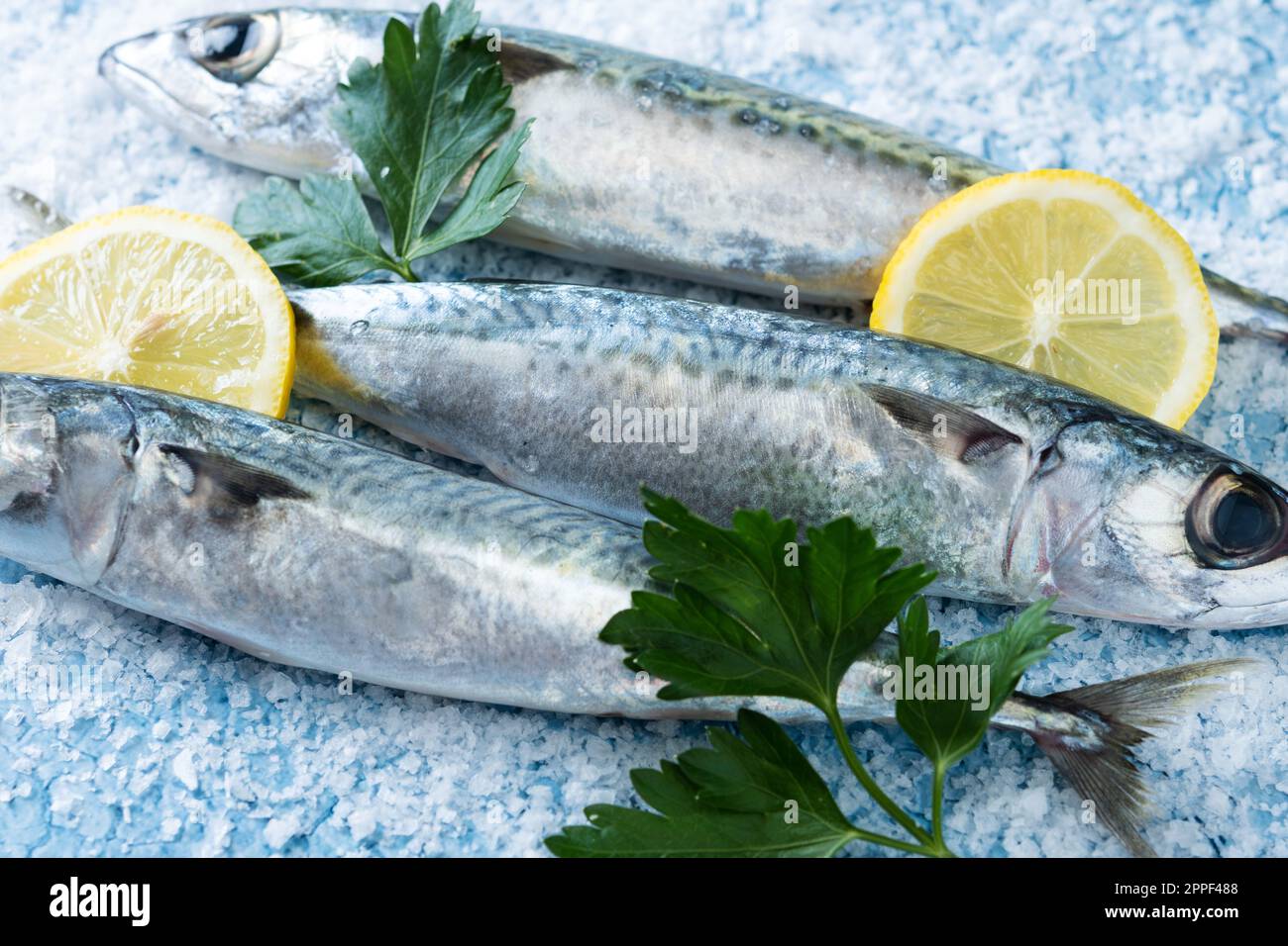 Raw mackerel fish with salt around isolated on white background Stock