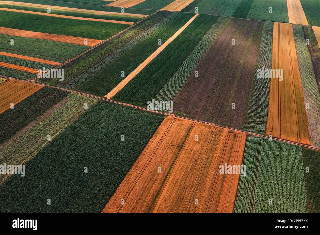 Abstract agricultural background, beautiful colorful patchwork pattern of cultivated fields from drone pov Stock Photo