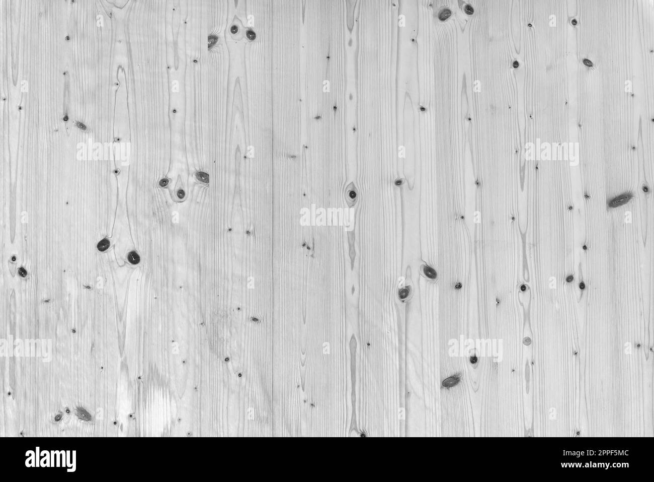 Black and white image of pinewood board surface, top view Stock Photo