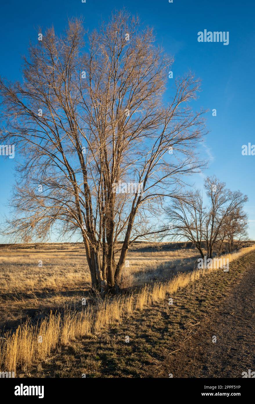 Minidoka National Historic Site in Idaho Stock Photo - Alamy