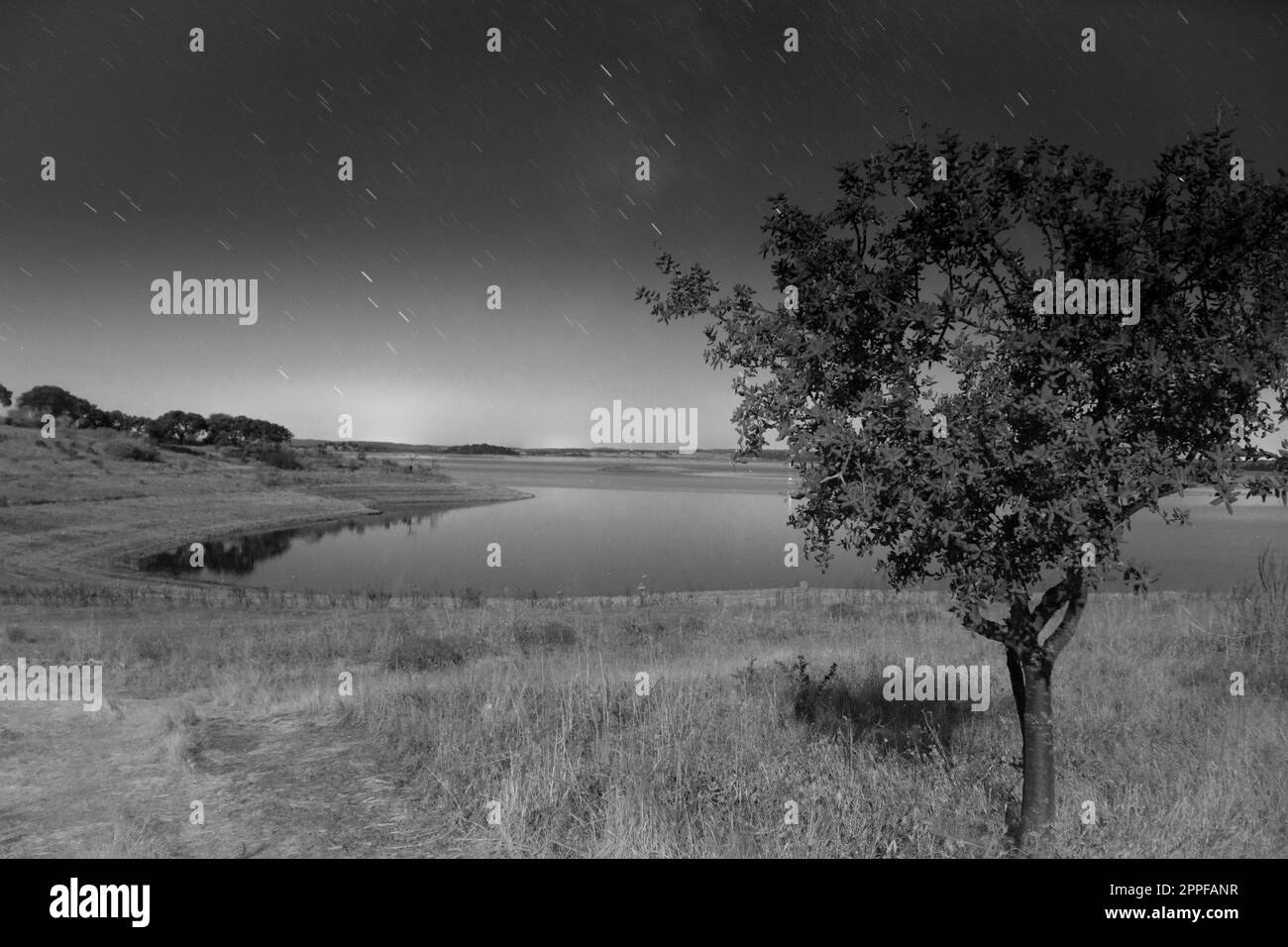 Saucer Wisdom, image size:1300x956