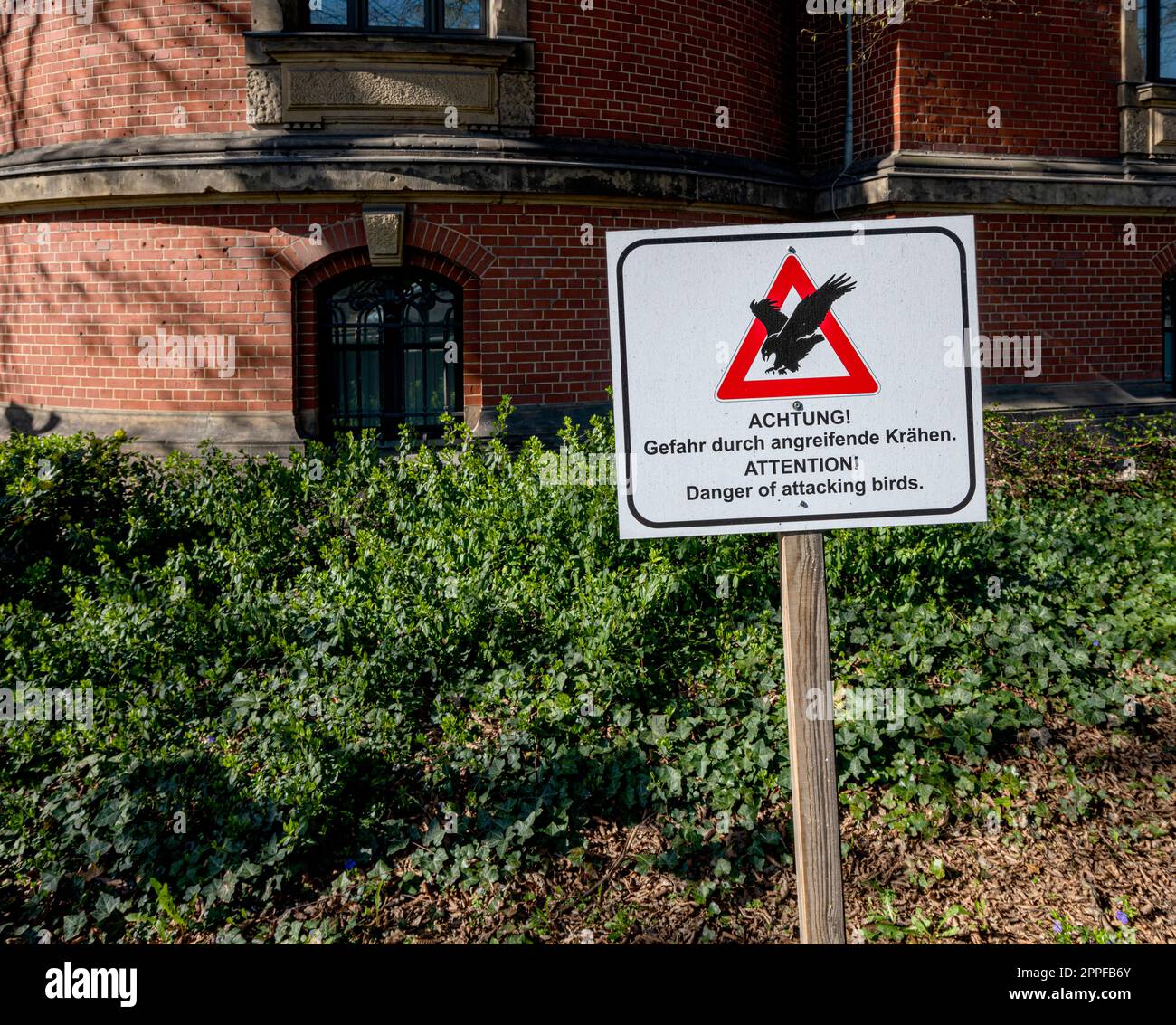 Sign In Front Of A Building, Danger From Attacking Crows, Berlin, Germany Stock Photo