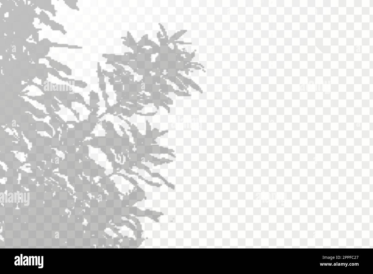 The effect of overlaying shadows.Realistic shadow tropical leaves and ...