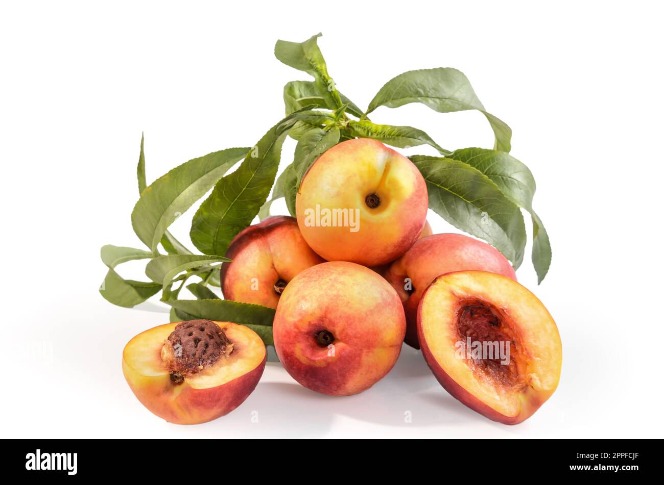 nectarines in bulk on a white background with soft shadow Stock Photo