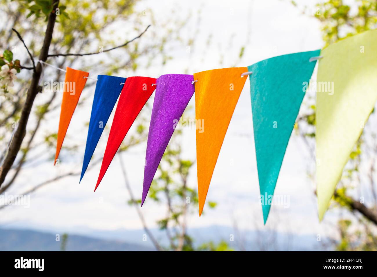 Party flags in yard, colorful flags Stock Photo Alamy