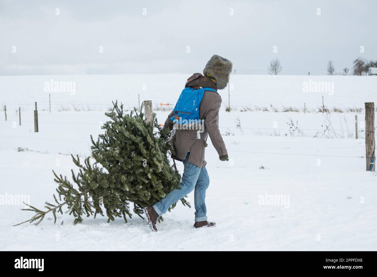 Young man carrying christmas tree in snowy landscape, Bavaria, Germany Stock Photo