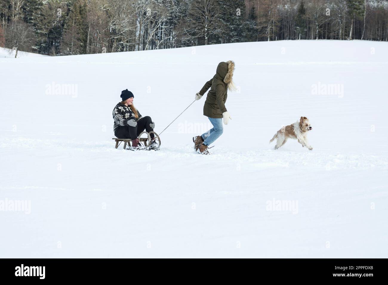 Two girls and a dog with slide in snowy landscape in winter, Bavaria, Germany Stock Photo
