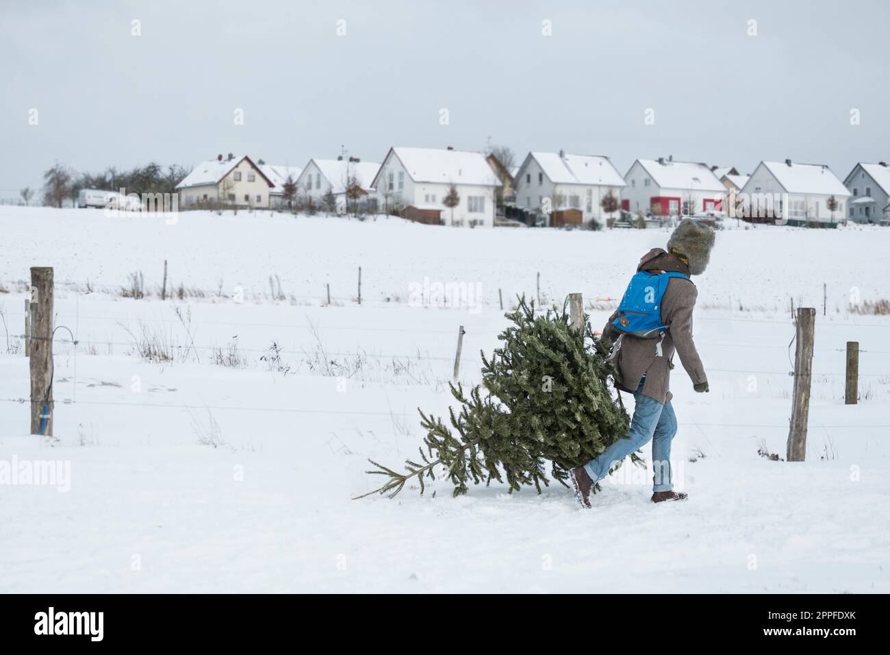 Young man carrying christmas tree in snowy landscape and village in the background, Bavaria, Germany Stock Photo