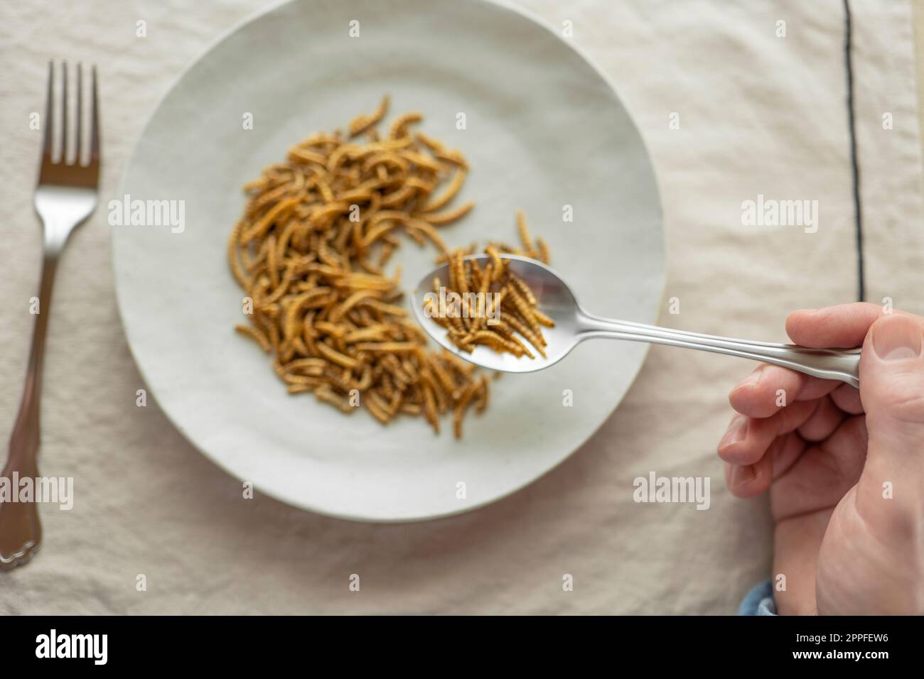 Insect food. Food of the future.Meat Alternative Nutrition Stock Photo -  Alamy