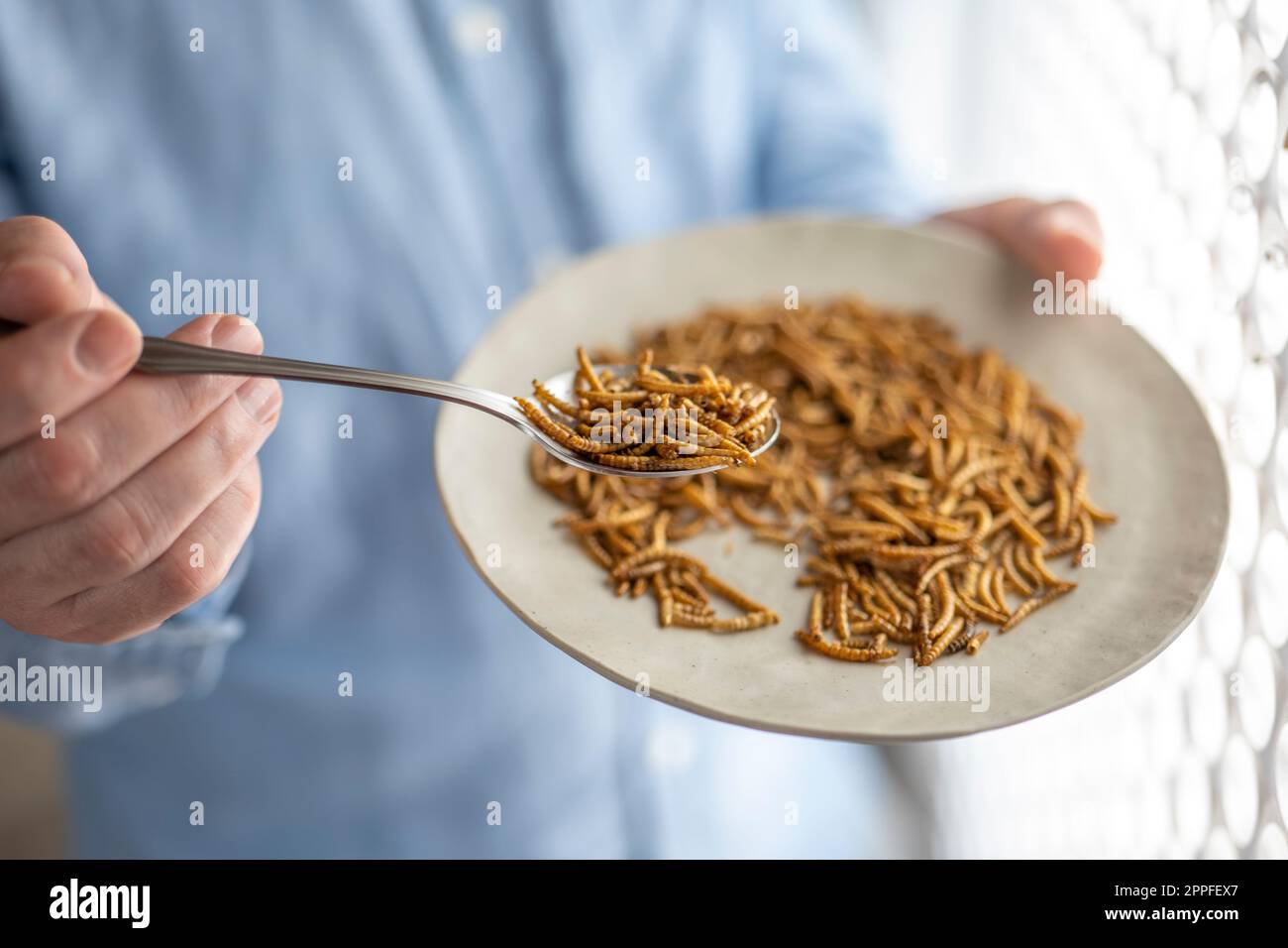 Insect food.View from above. Food of the future Stock Photo Alamy