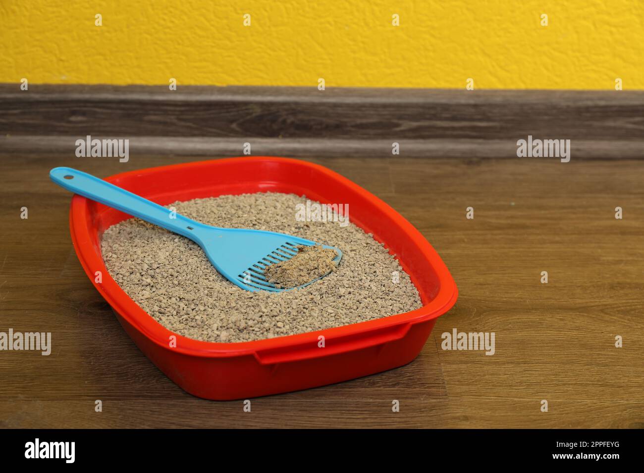 Cat tray with clumping litter and scoop on floor indoors Stock Photo