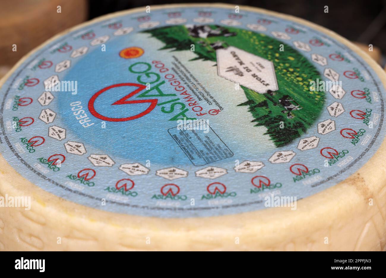 Whole wheels of Asiago cheese Stock Photo Alamy