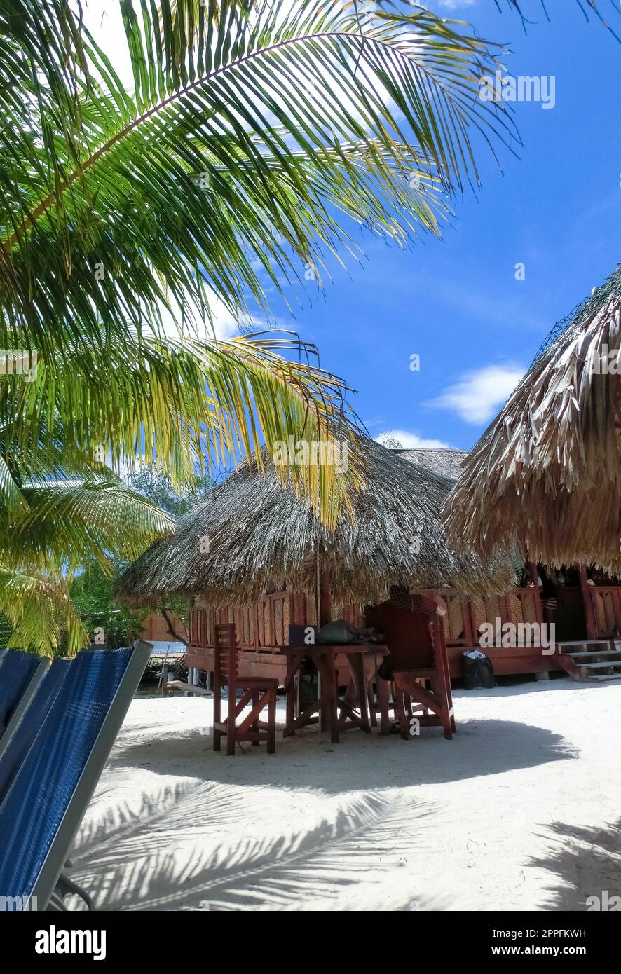 View of a tropical beach in Roatan Honduras Stock Photo - Alamy