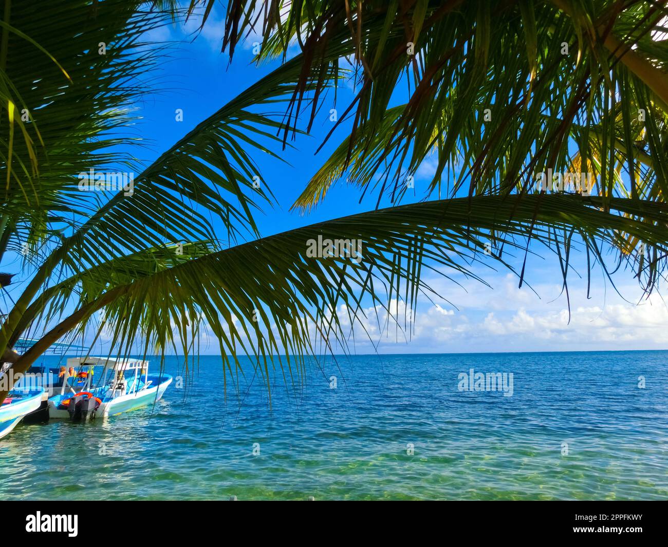 View of a tropical beach in Roatan Honduras Stock Photo - Alamy
