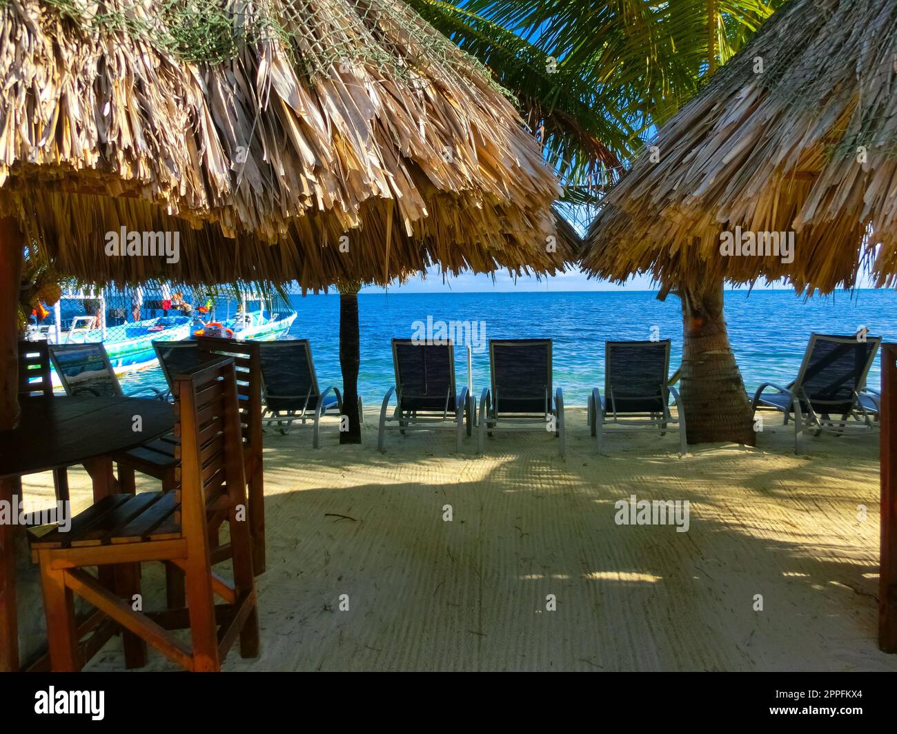 View of a tropical beach in Roatan Honduras Stock Photo - Alamy