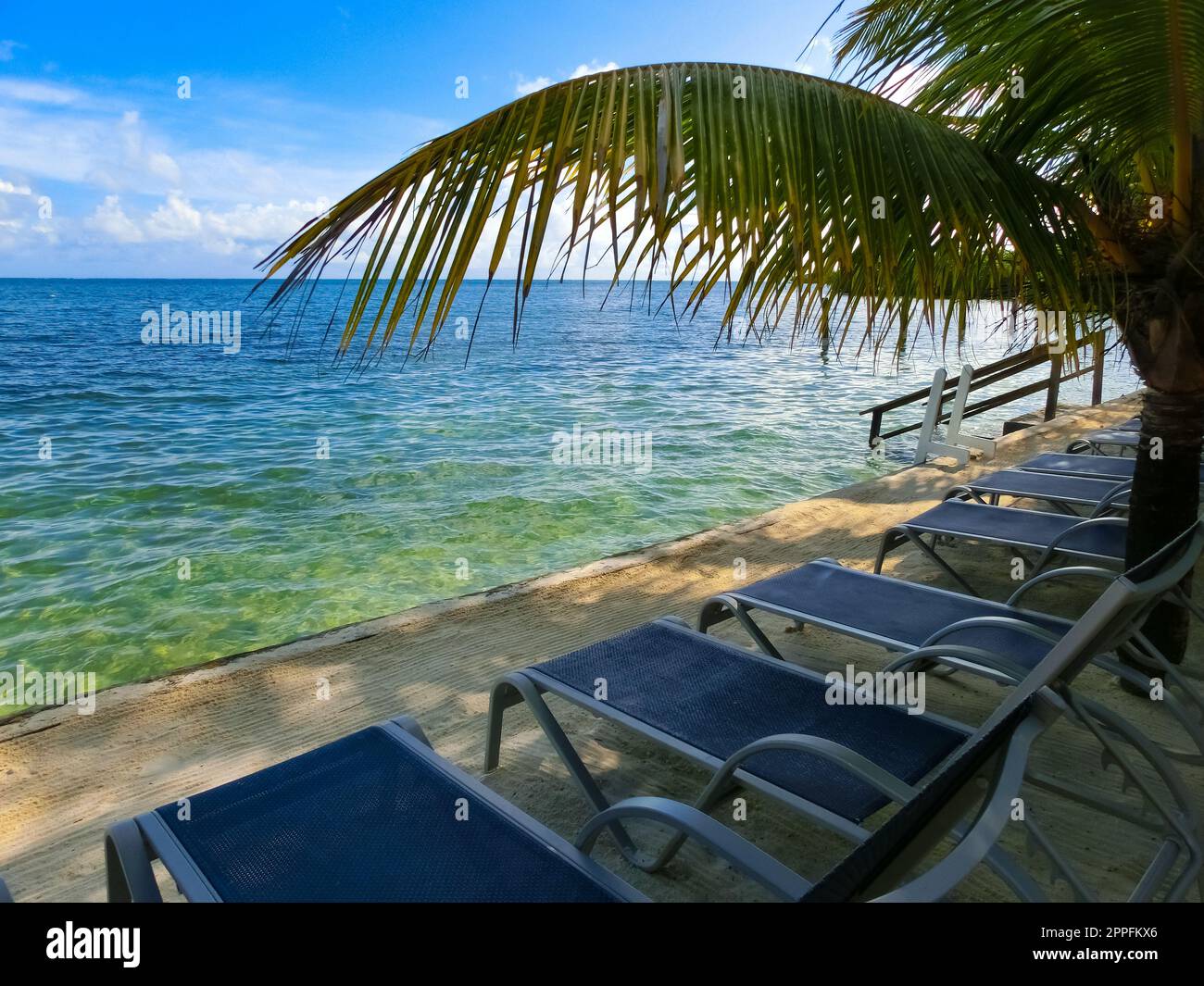 View of a tropical beach in Roatan Honduras Stock Photo - Alamy