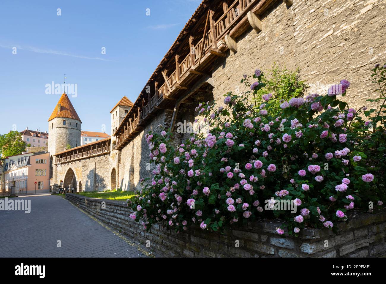 City platform view hi-res stock photography and images - Alamy
