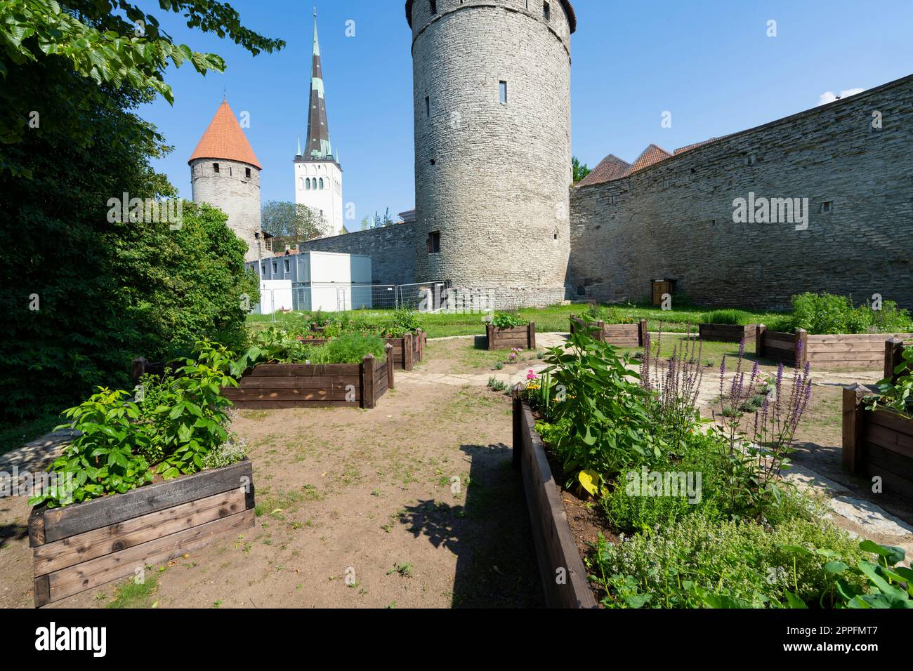 The old town community garden in Tallinn, Estonia Stock Photo