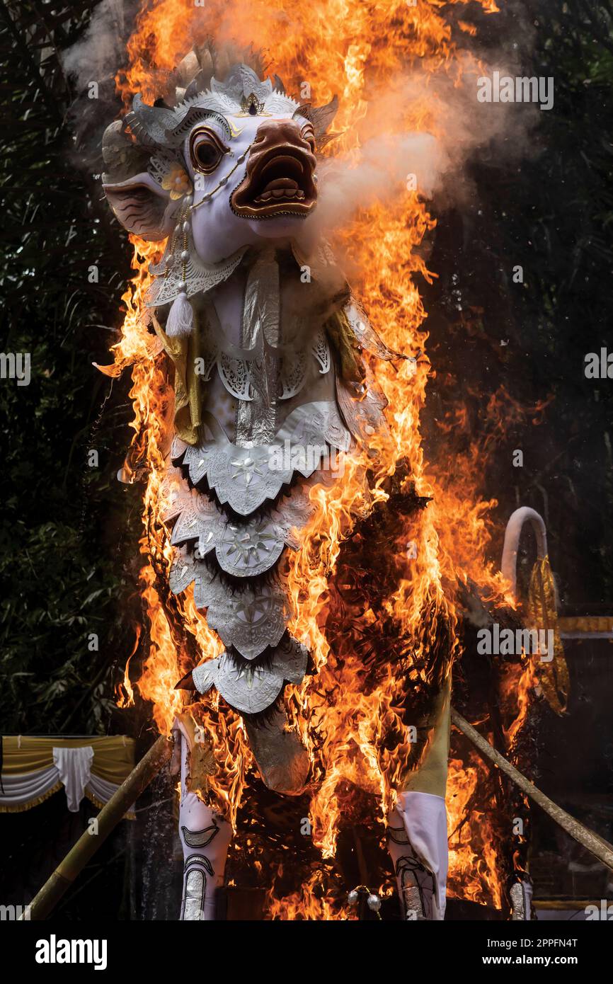 Hindu Balinese body cremation in Bali Indonesia Stock Photo