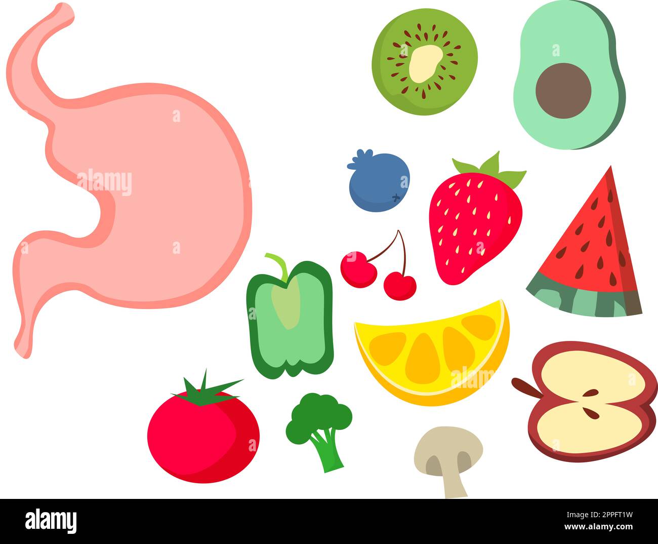 Illustration of stomach, fruits and vegetables on white background. Healthy eating habits Stock