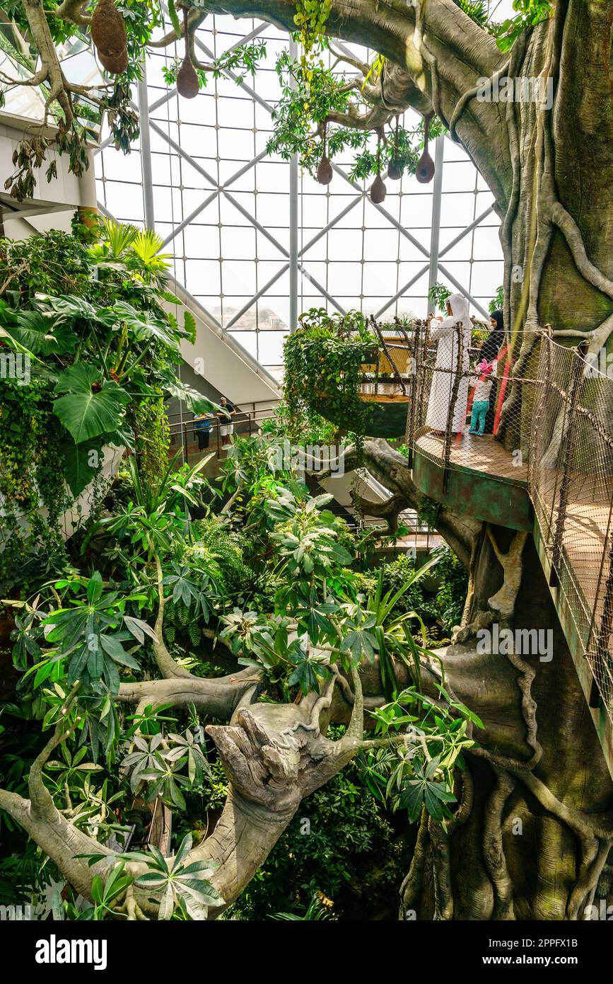 Dubai, UAE, October 8, 2016 The Green Dubai indoor rainforest