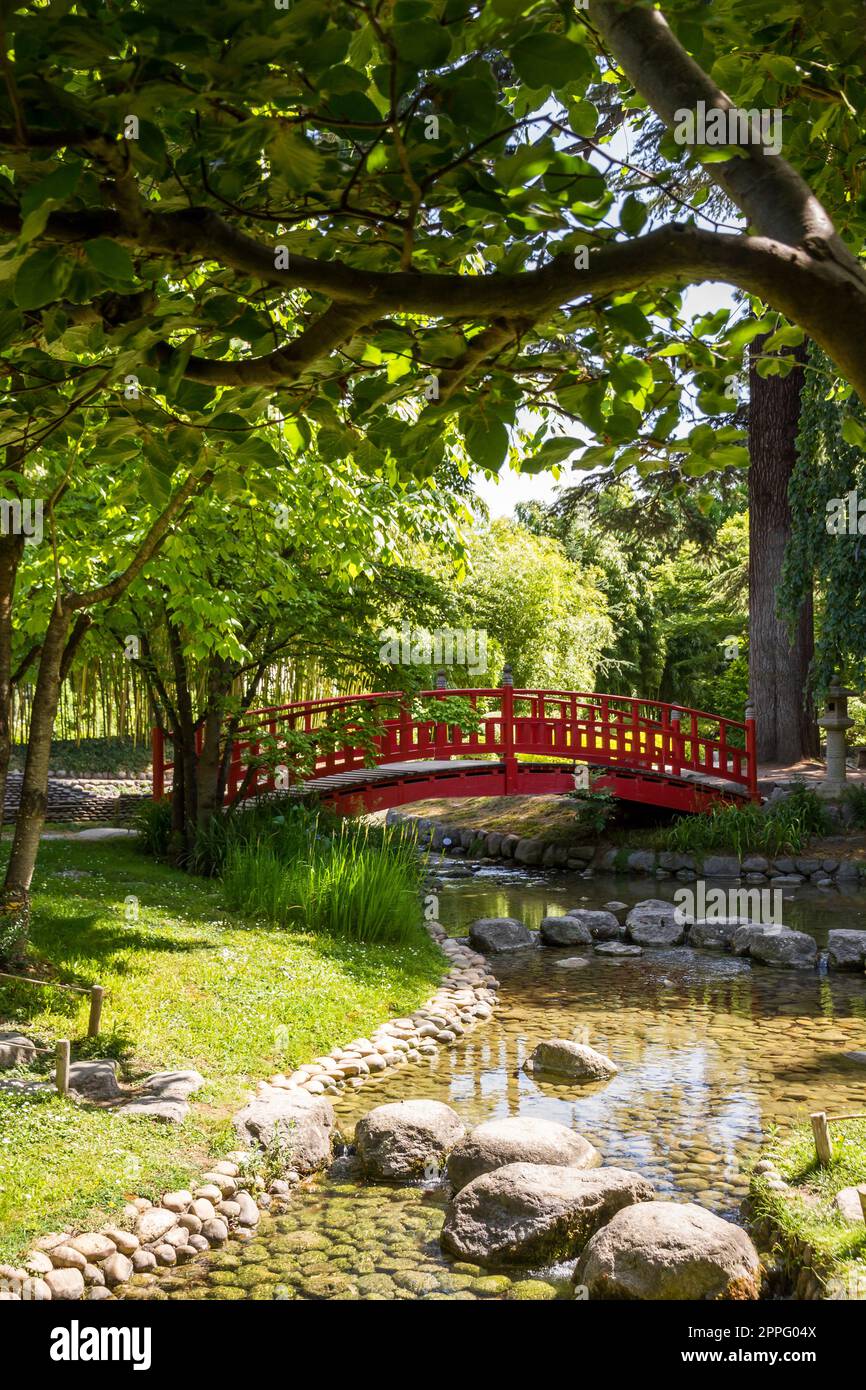 Traditional red wooden bridge on a japanese garden pond Stock Photo - Alamy