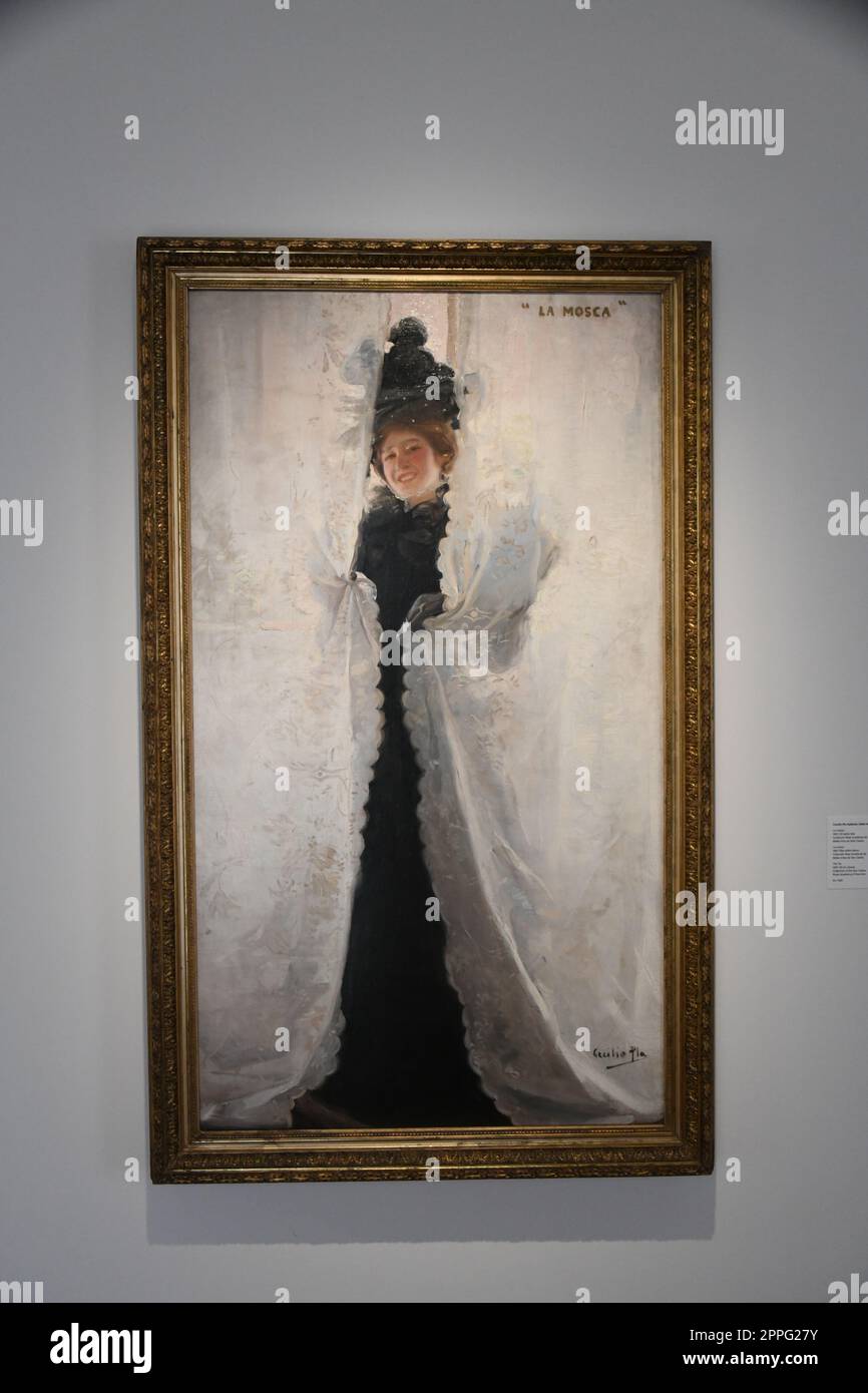 At the "Fine Arts" house in Valencia, Valencia province, Spain, an