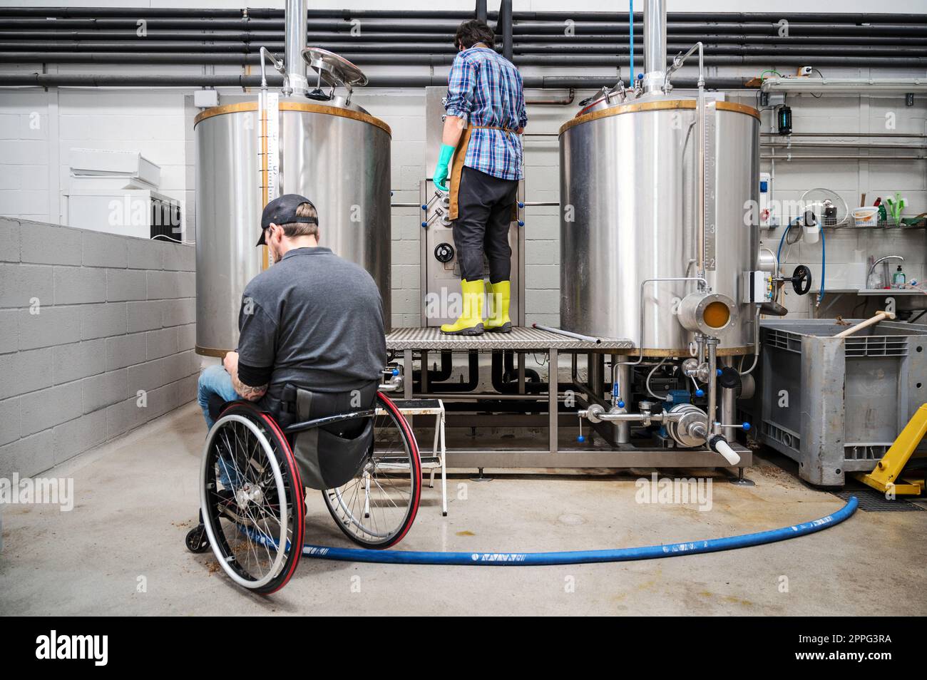 Person with disability who uses a wheelchair working at craft beer factory. Stock Photo