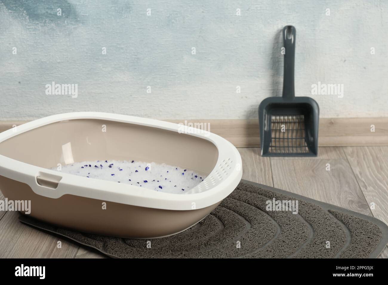 Cat tray with crystal litter and scoop on floor near light blue wall
